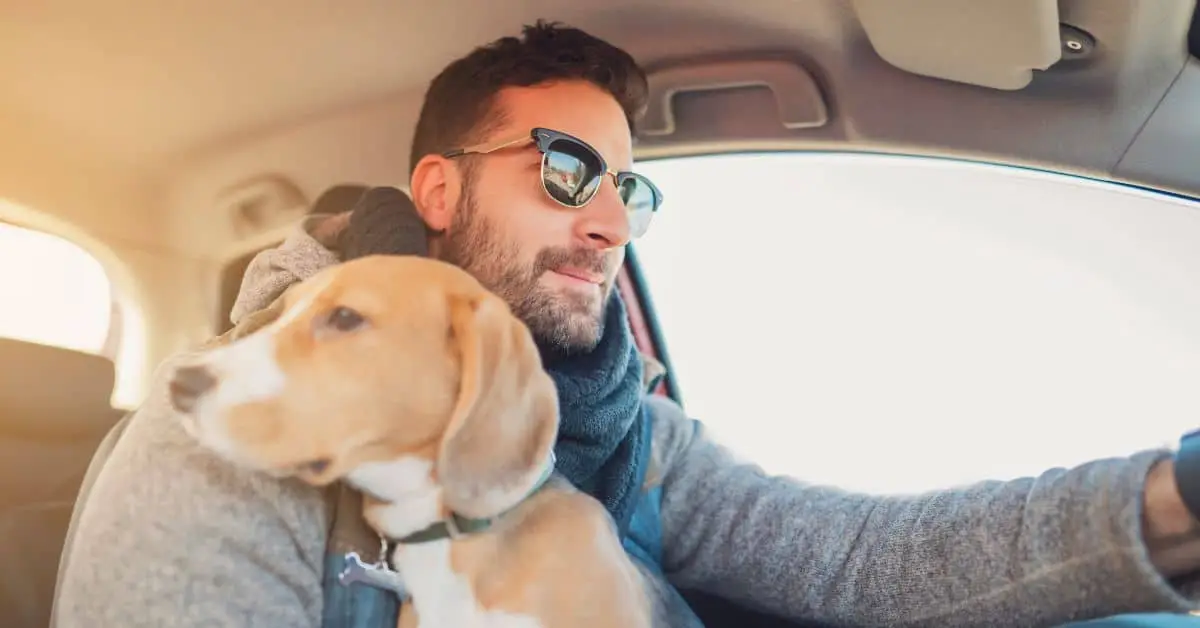 young man sitting in the driver's seat with a dog