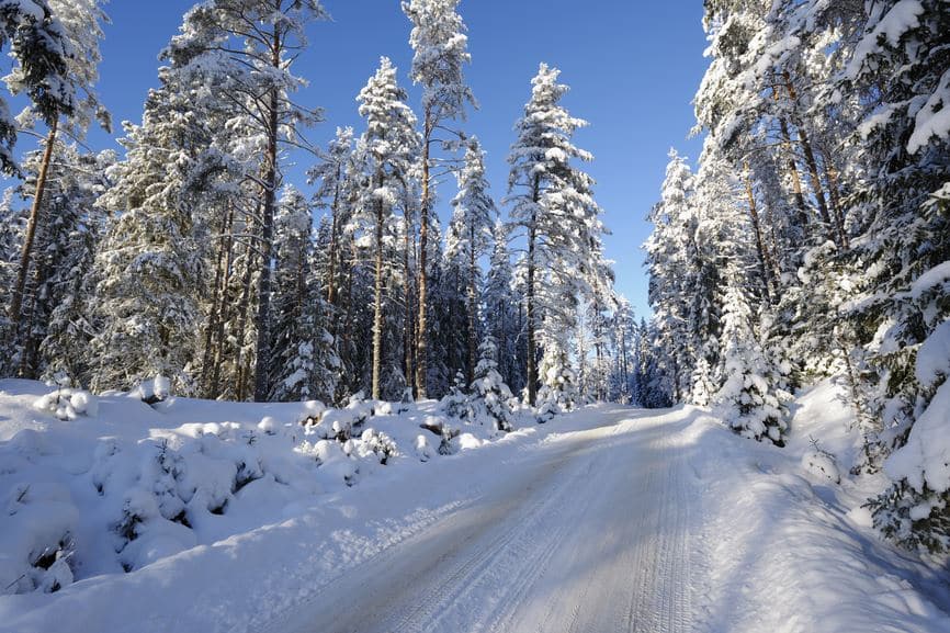 Snowy trees when temperatures drop sharply, your car will likely not operate the same as it does in warmer weather. That’s largely due to physics and the facts that: