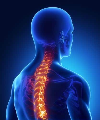 Medical image of a spine highlighted in a human silhouette car accident injuries can vary by severity and the area of the body that’s damaged. Generally, however, these injuries are either: