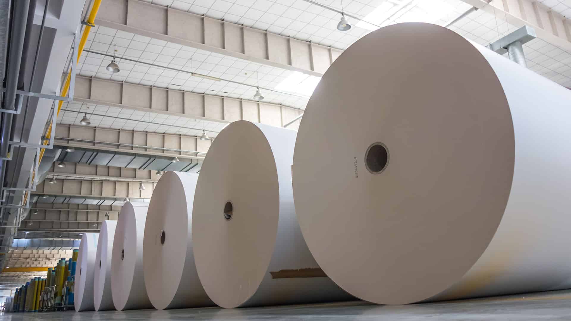 Big white paper rolls placed on the floor