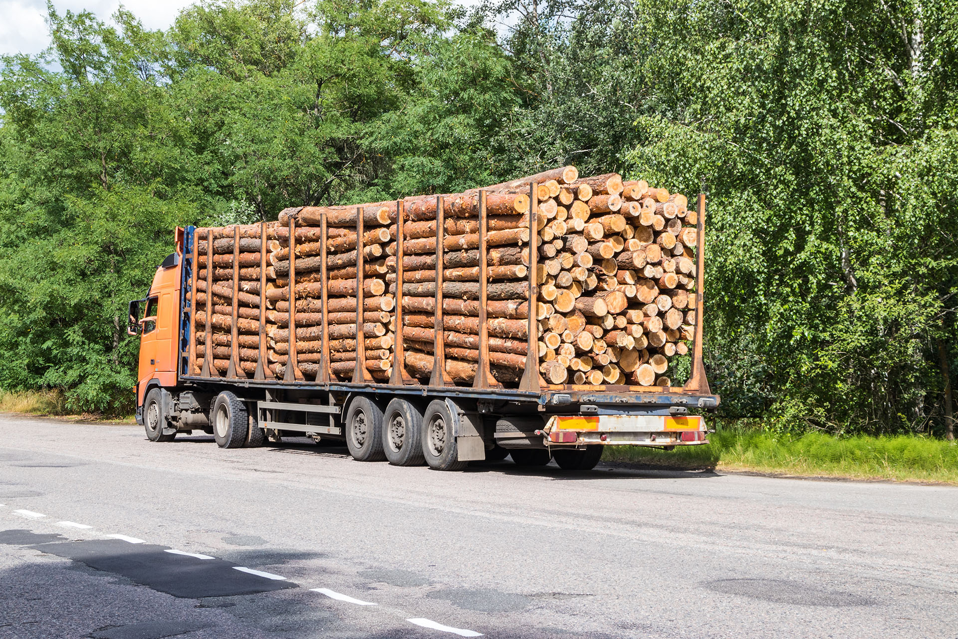 A timber truck with wood travels along a highway with cargo