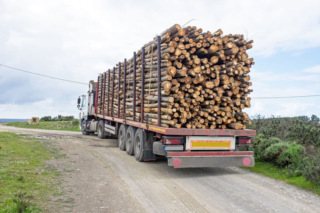 Truck with load of tree trunks of eucalyptus