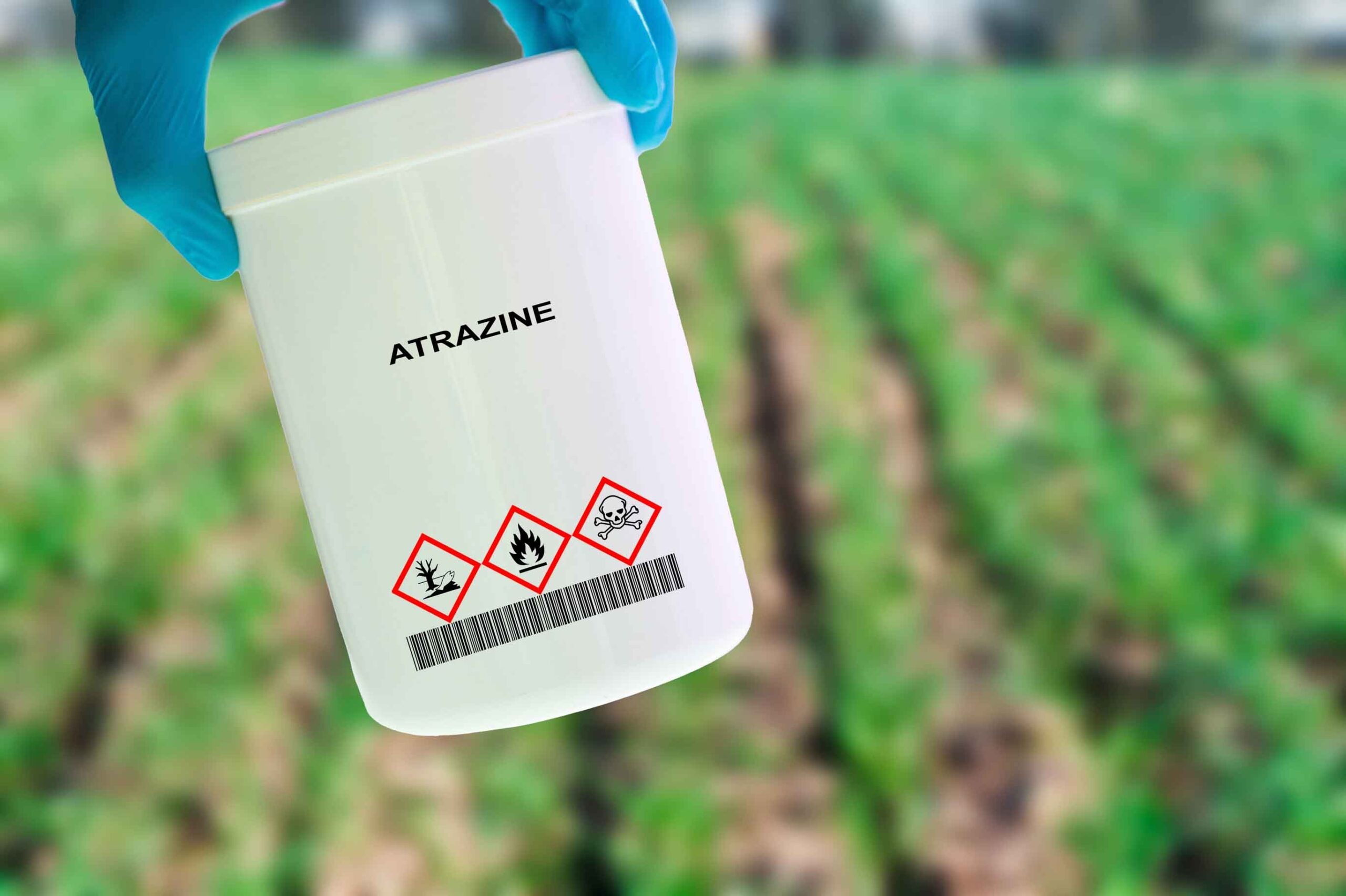 a graphic of a bottle of atrazine and rows of crops in the background