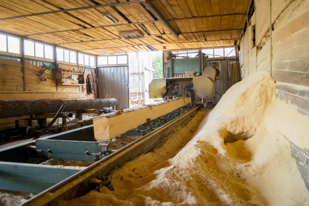 A saw mill passing a log through its cutting and shaping saws