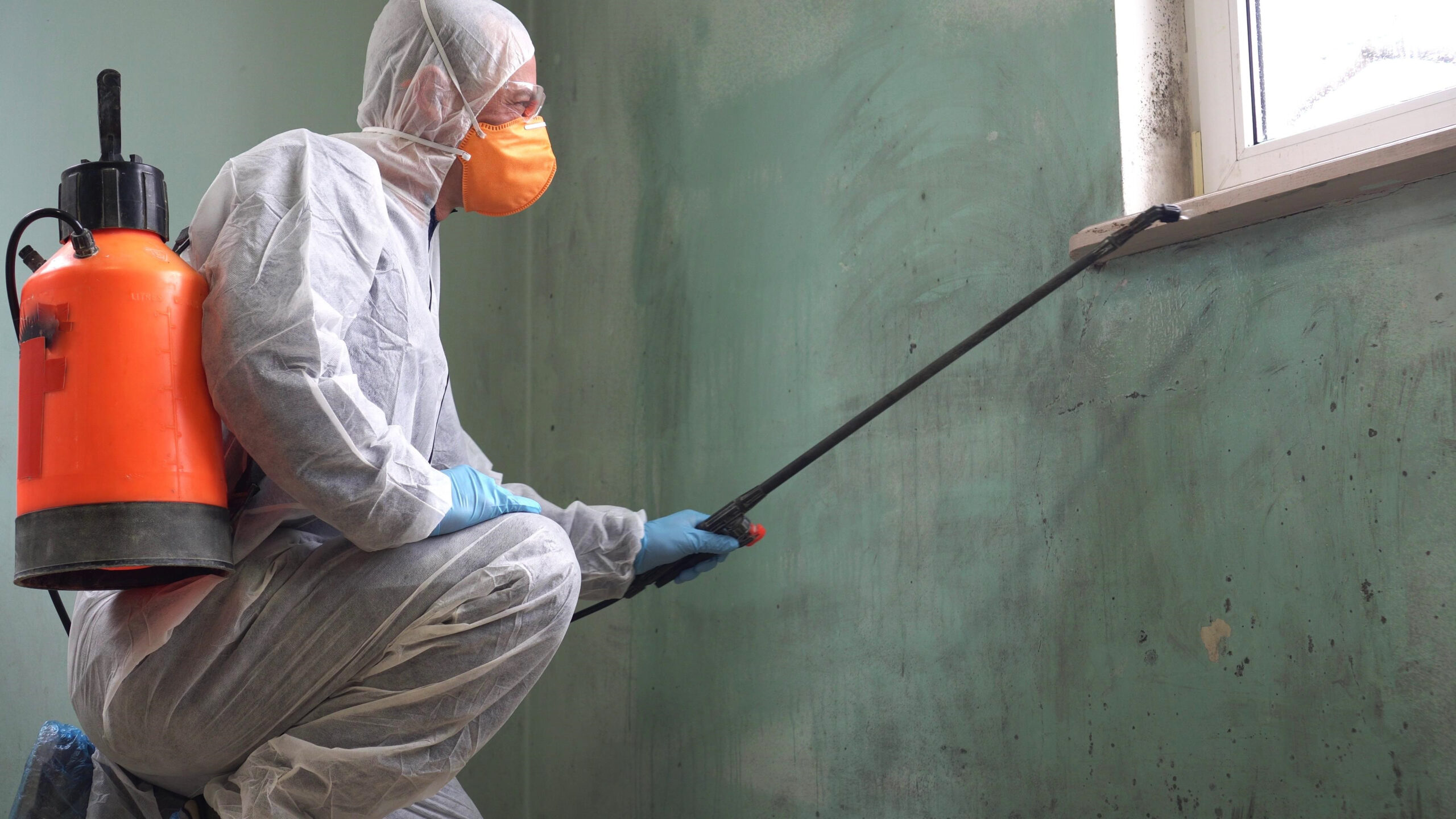 a worker in a full biological hazard suit spraying anti-fungal spray to remediate black mold