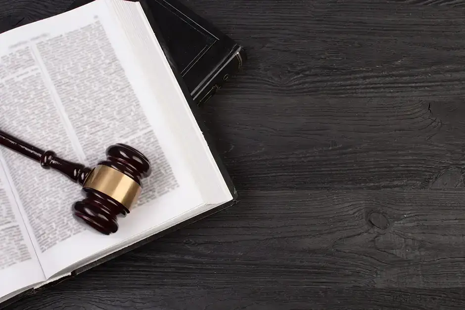 Law concepts